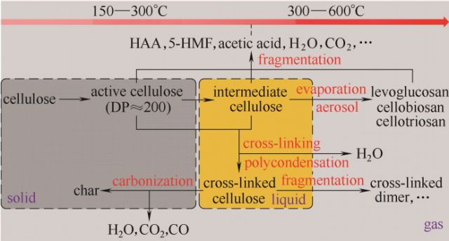 生物质碳化的中间产物_生物质碳中和_产物中间物质碳化生什么